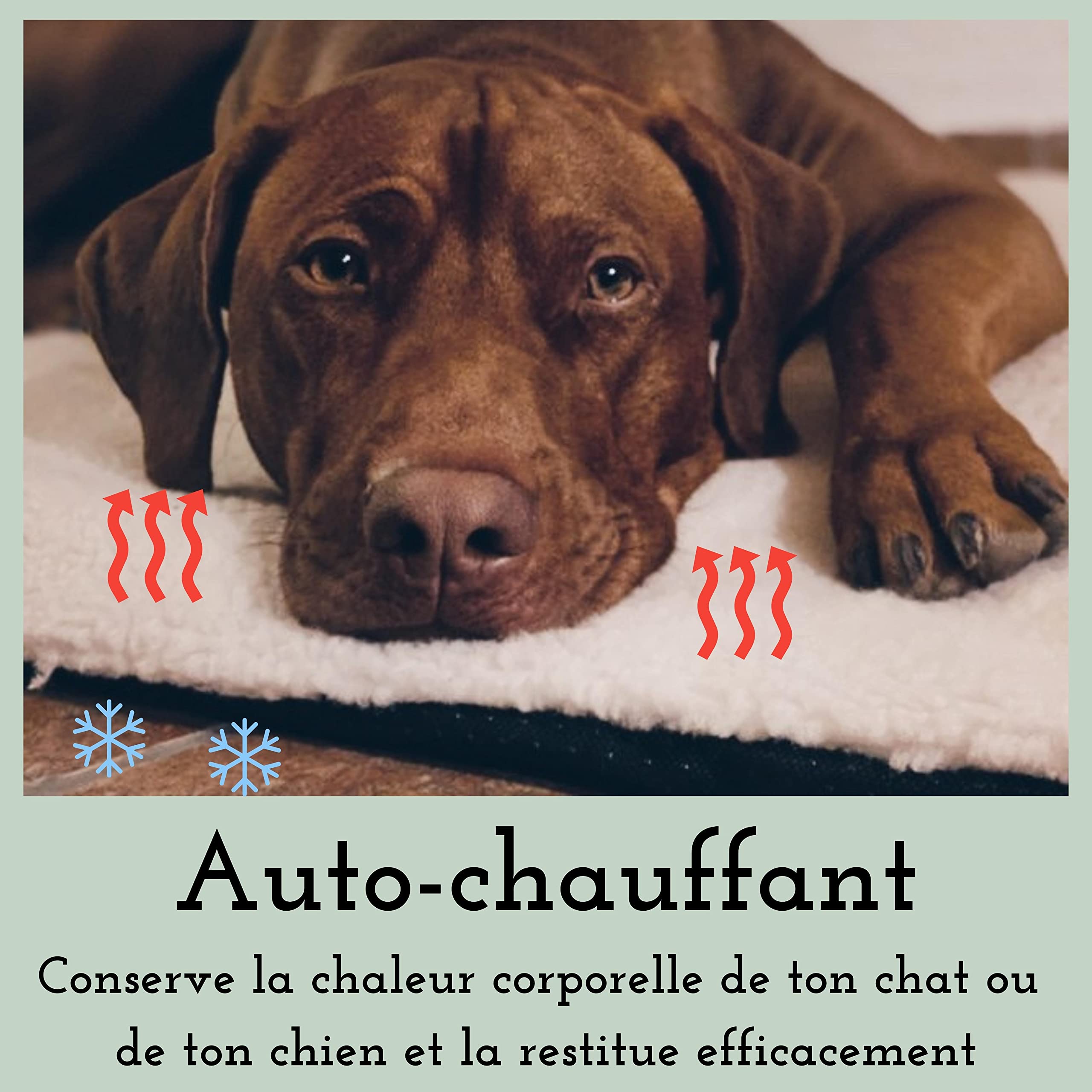 riijk Couverture Auto-chauffante pour Chat 60 x 40 cm - Lavable & Sans Crépitement - Tapis Chauffant