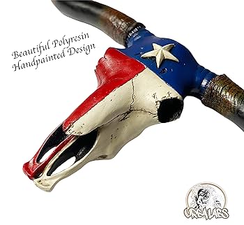 【超希少】テキサス　ロングホーンスカル　頭蓋骨 ☆即納☆迫力！ テキサス ロングホーン☆ - 頭骨・骨格標本