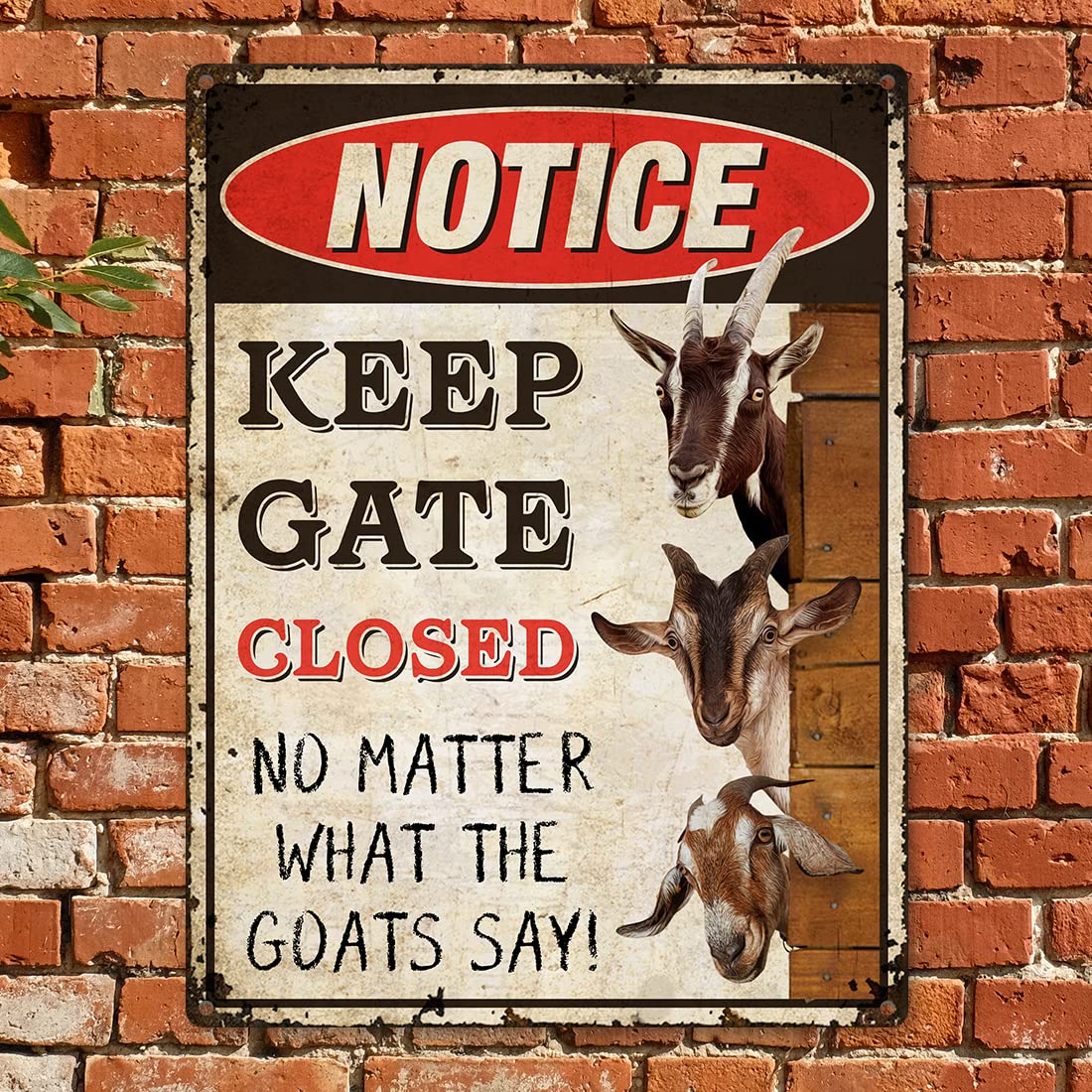 Amazon.com: Goat Signs Decor Outdoor - Keep Gate Closed No Matter
