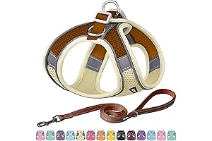 AIITLE Step in Dog Harness and Leash Set - Summer No Pull...