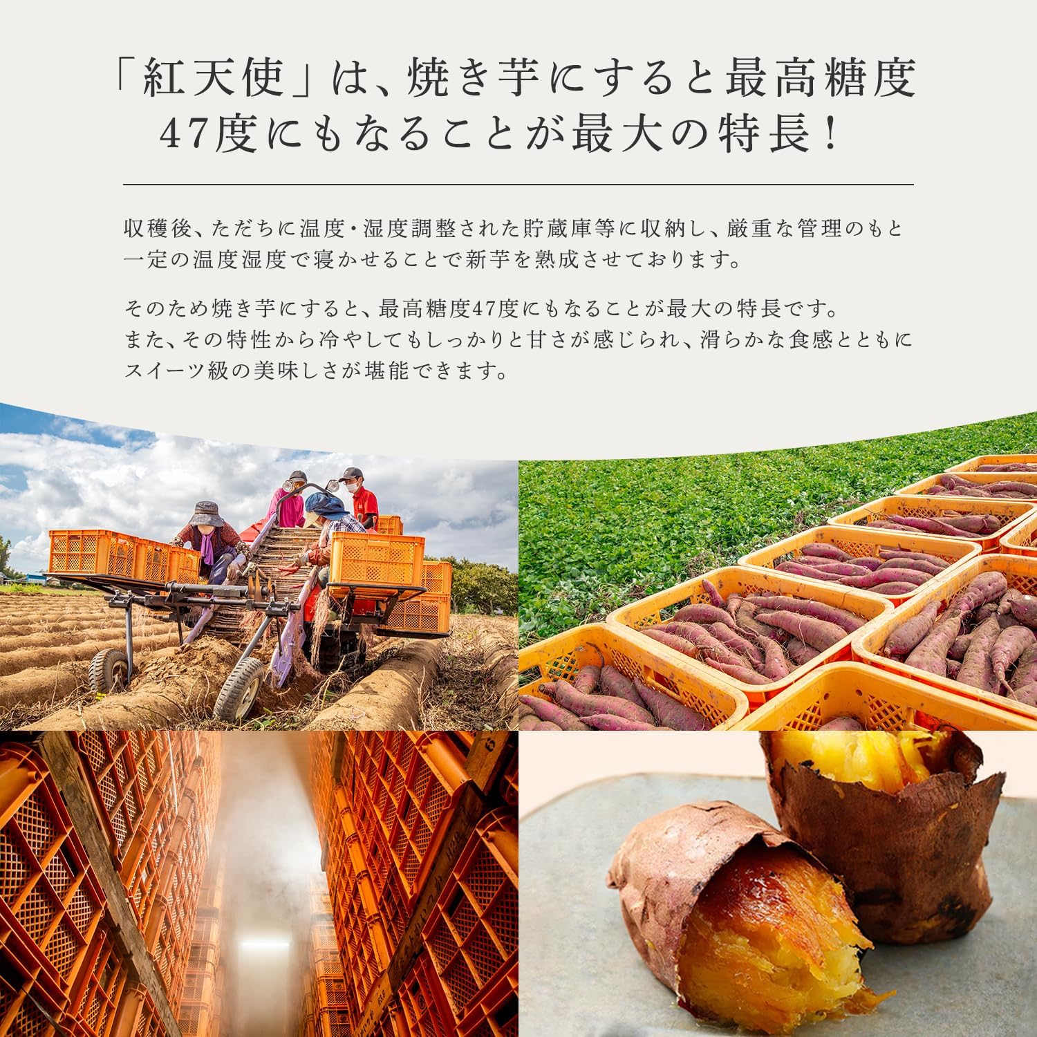 カルビー かいつか 紅天使 冷凍 焼き芋 (300g ｘ 4袋) さつまいも (やわらかい/甘い) おやつ スイーツ ほくほく山