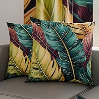 PETTI Artigiani Italiani - Coppia di Federe Cuscino 80x80 cm in Microfibra