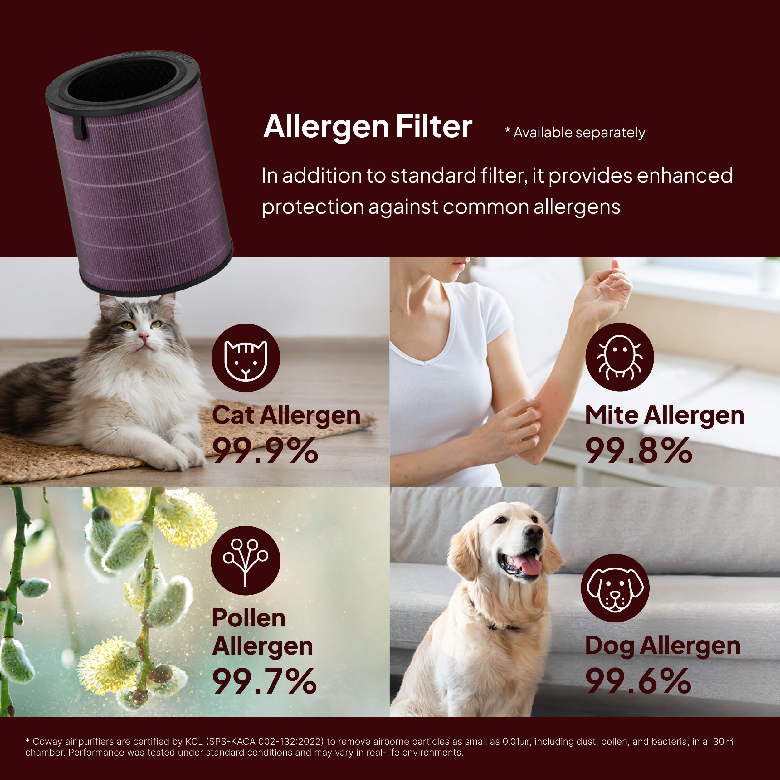 Juego de filtros de recambio originales COWAY Airmega: prefiltro, filtro HEPA y filtro de carbón activo. Elimina el polvo, los olores y los COV. Paquete estándar de filtros 3 en 1 (Allergen Plus)