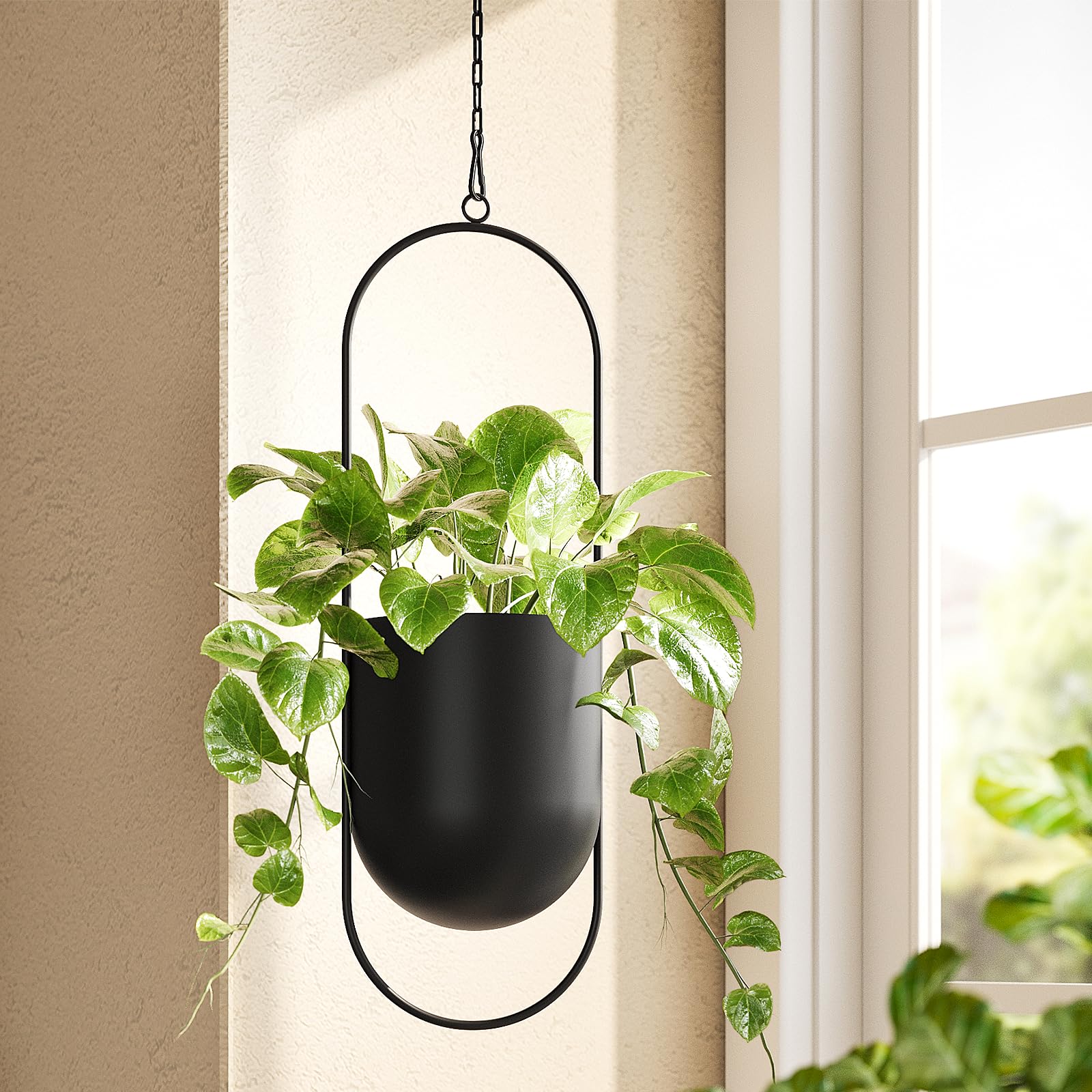 Bamworld Black Hanging Planters 5.5