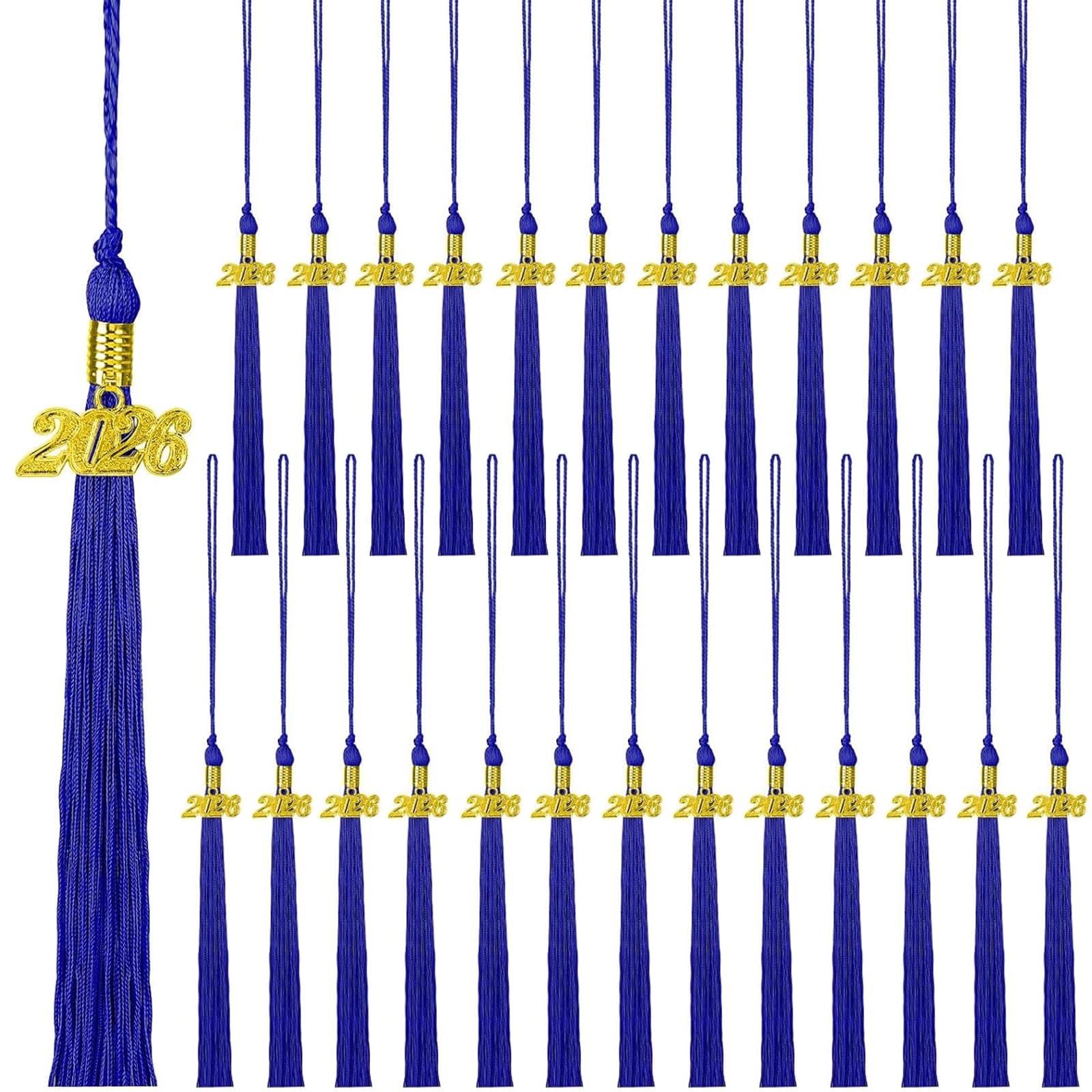 Photo 1 of 25 Pieces 2026 Graduation Tassel Bulk,Graduation Cap Tassels Decoration with 2026 Year Gold Date Charms,Grad Gifts for 2026 Year Grad Ceremonies Souvenir Class of 2026 for Grad Cap (Blue)