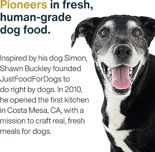 Miniatura 8 de JustFoodForDogs Alimento fresco congelado para perros para piel sensible y alergias, salud articular, comida completa o aderezo, apoyo articular