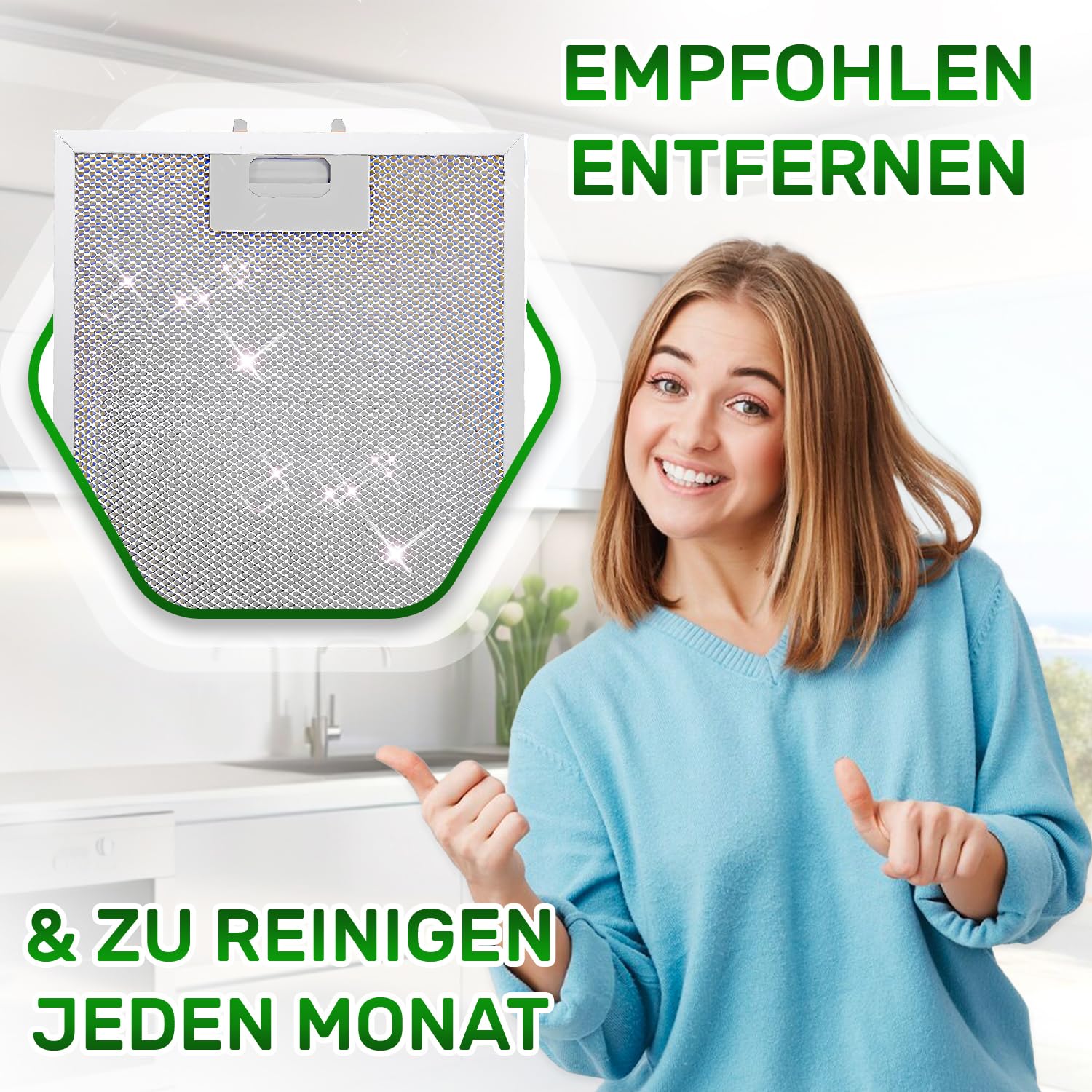 Aluminiumfilter für die Dunstabzugshaube (2, 310 x 250 x 8 mm)
