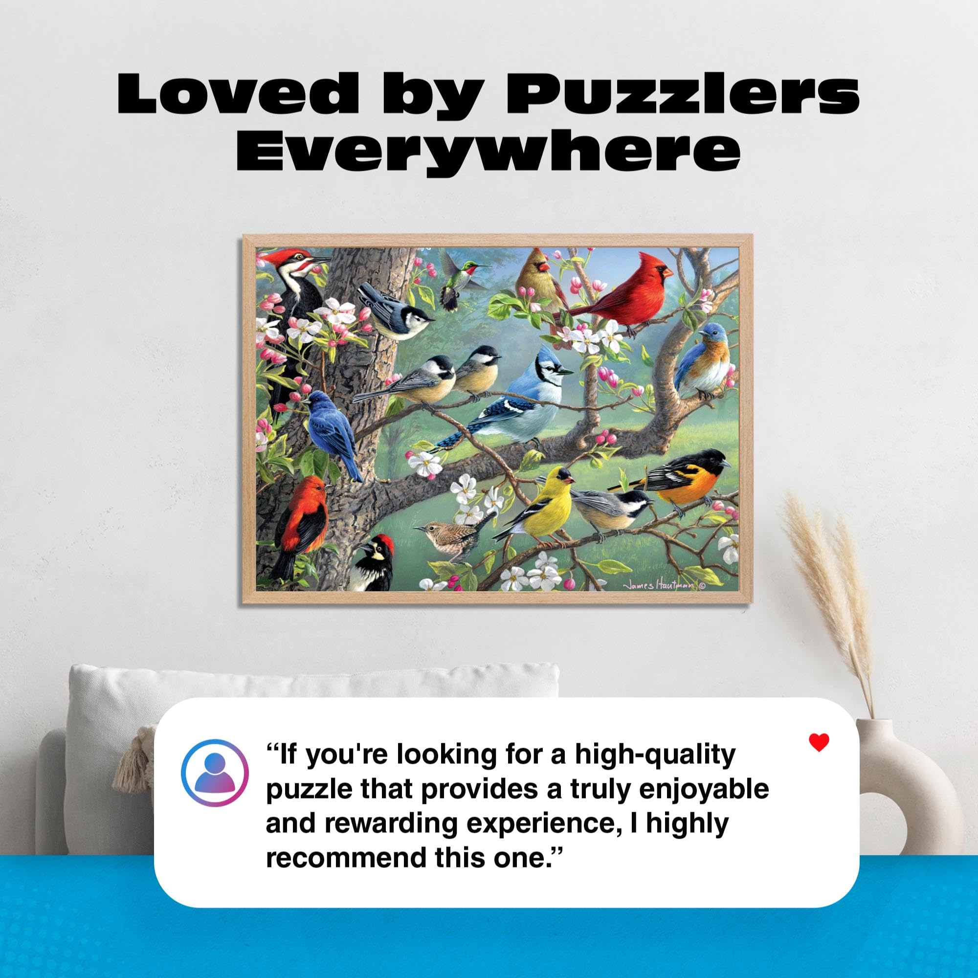 Buffalo Games - Frères Hautman - Oiseaux dans un verger - Puzzle de 1000 pièces