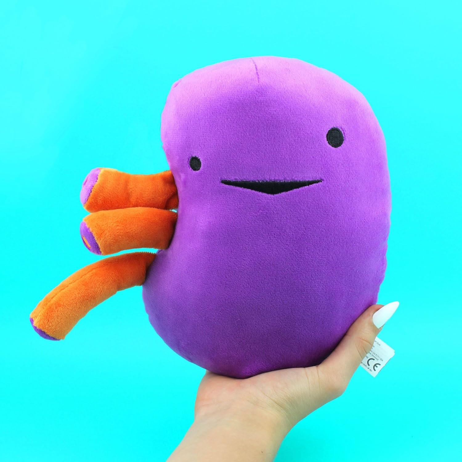 I Heart Guts Kidney Plush – 9" Educational Stuffed Organ Toy for Kidney Disease, Transplant Recovery, Dialysis, CKD, Polycystic Kidney, Renal Failure – Funny Get Well Gift