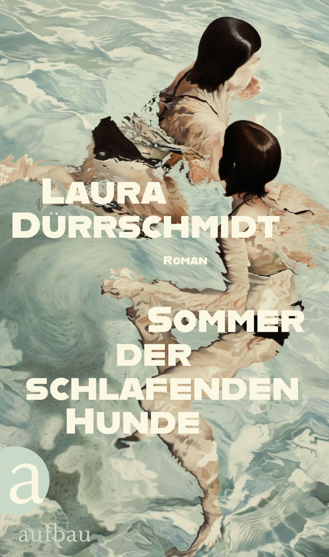Sommer der schlafenden Hunde: Roman