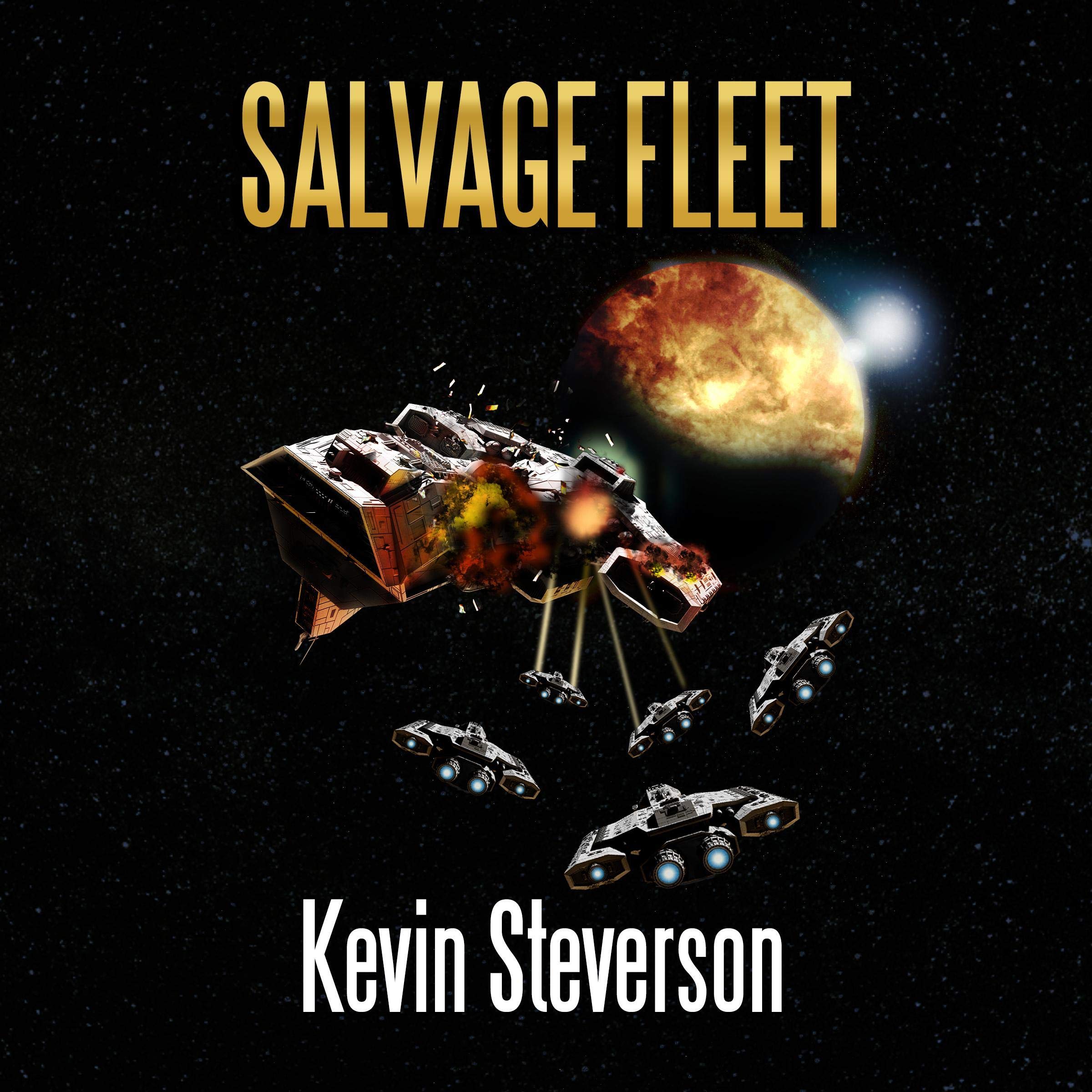 Cover art for Salvage Fleet