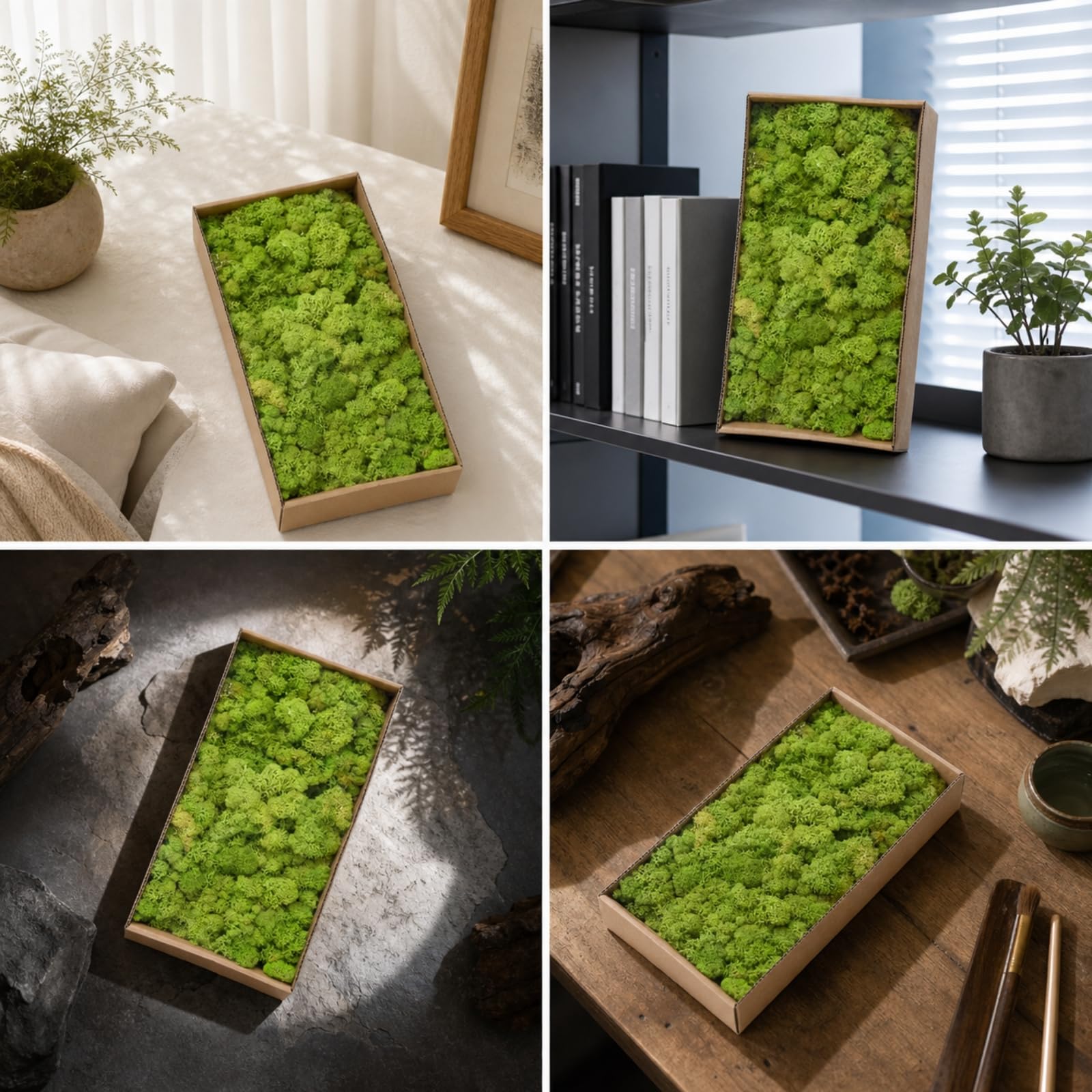 Muschio Stabilizzato Senza Manutenzione Muschio Decorativo Flessibile Piante per Composizioni Floreali, Verde Tenero 5