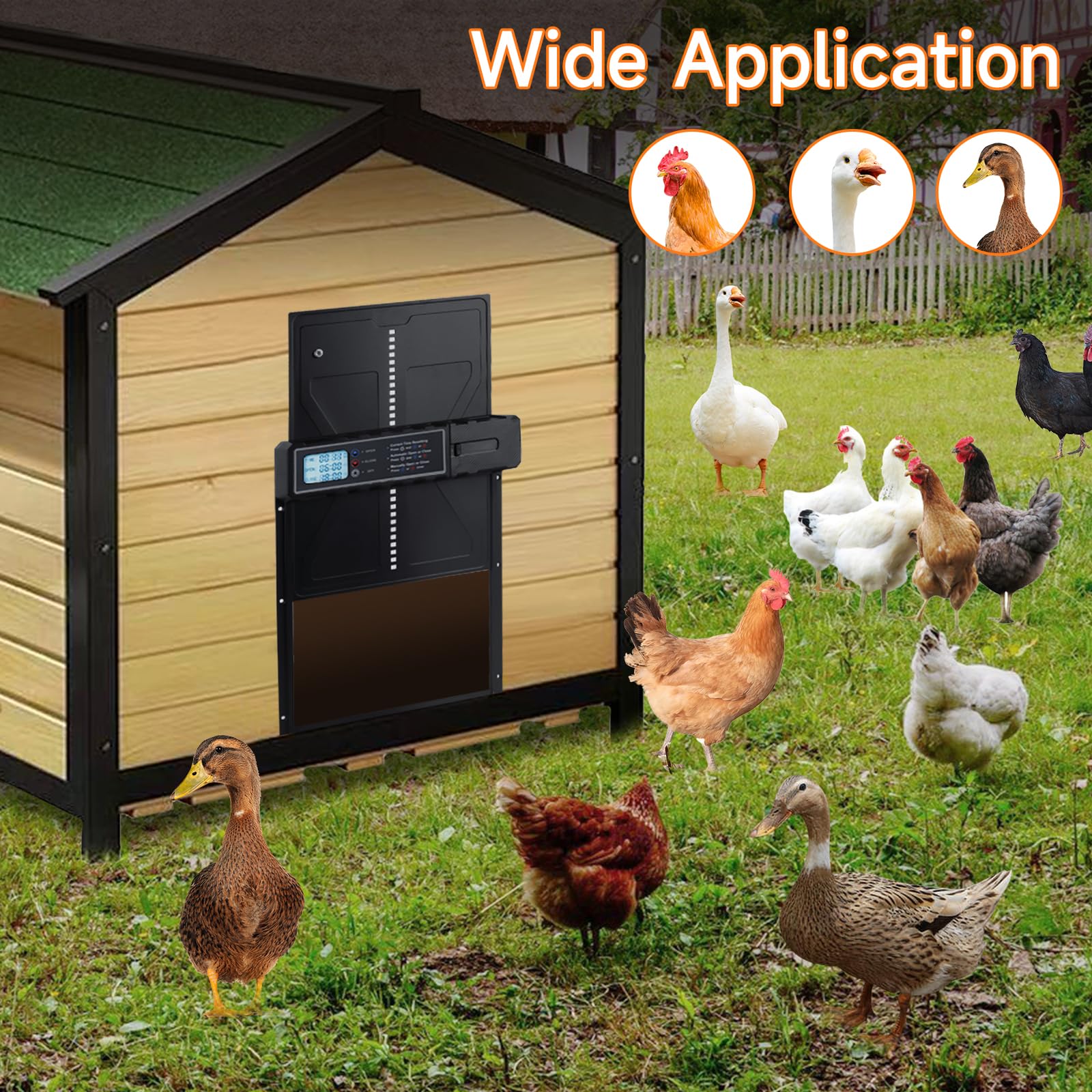 Puerta Automática para Gallinero de Aluminio con Temporizador y Pantalla, Protección Antiatrapamiento