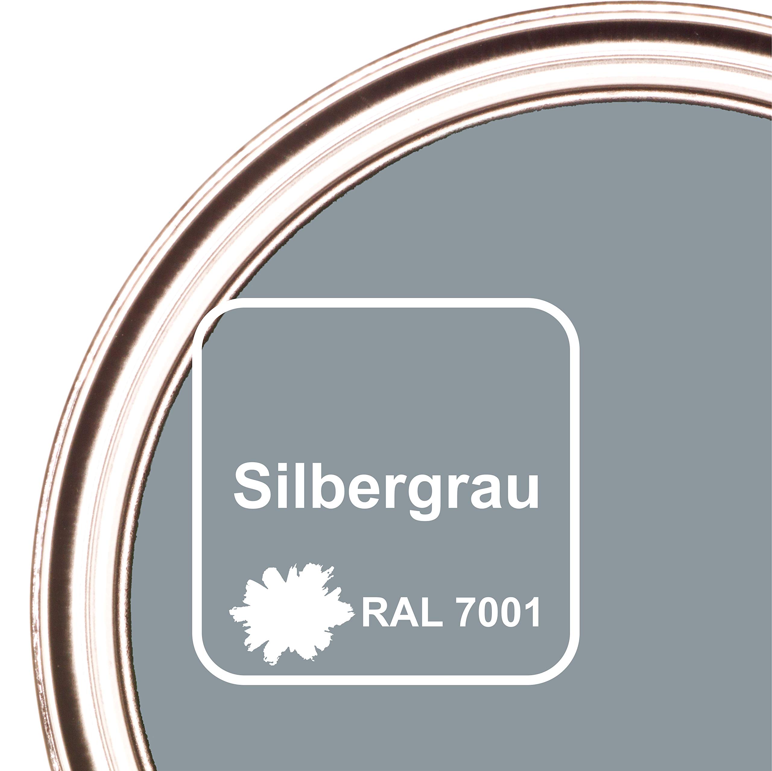 CAIRCON 2K Fliesenlack Bodenfliesen Fliesenfarbe Wand Küche Bad Silbergrau - 2,5Kg