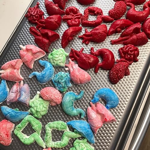 Miniatura 7 de Moldes de silicona para órganos humanos, 6 unidades, moldes de silicona con forma de órganos humanos, molde para pastel de corazón, cerebro, tronco,