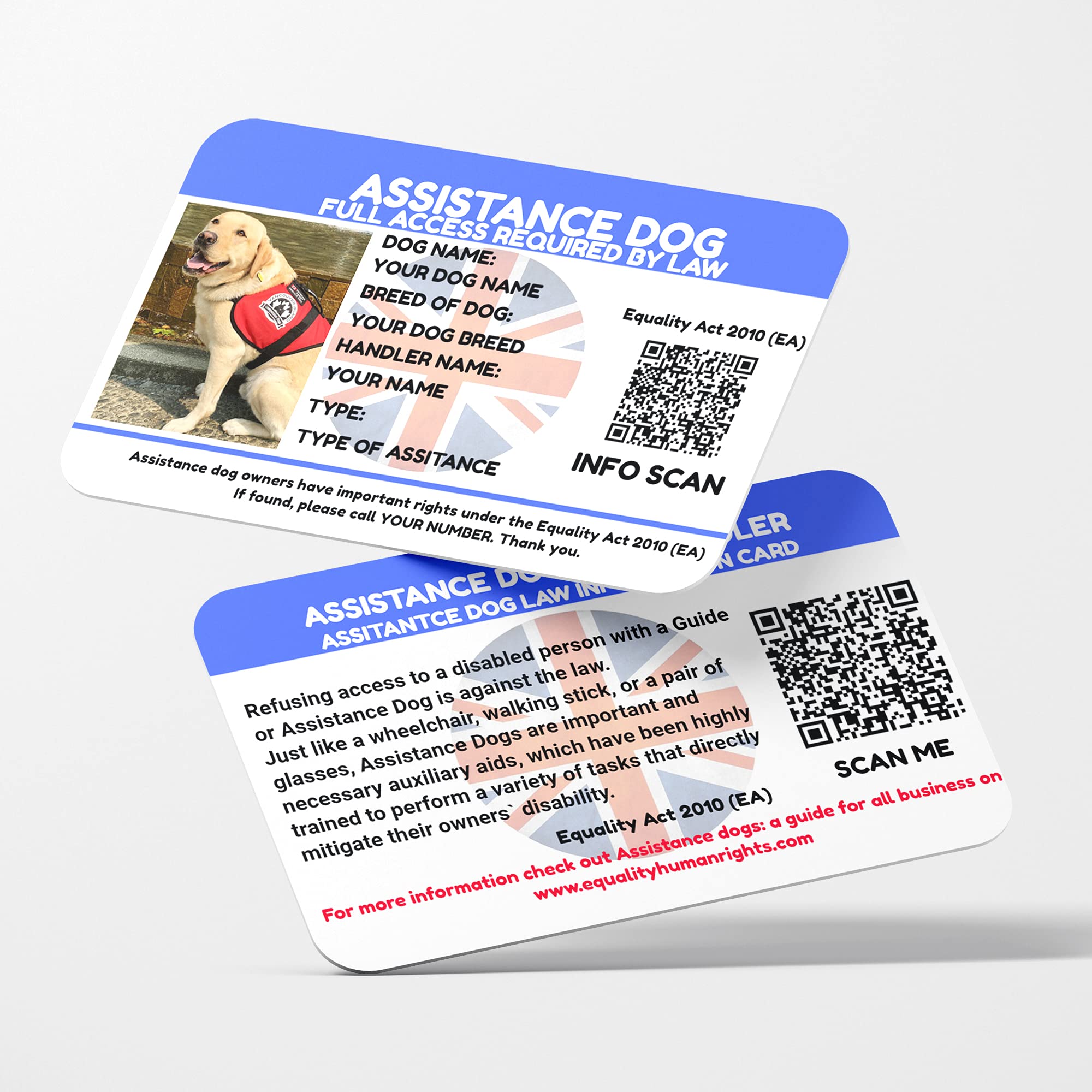 View 3