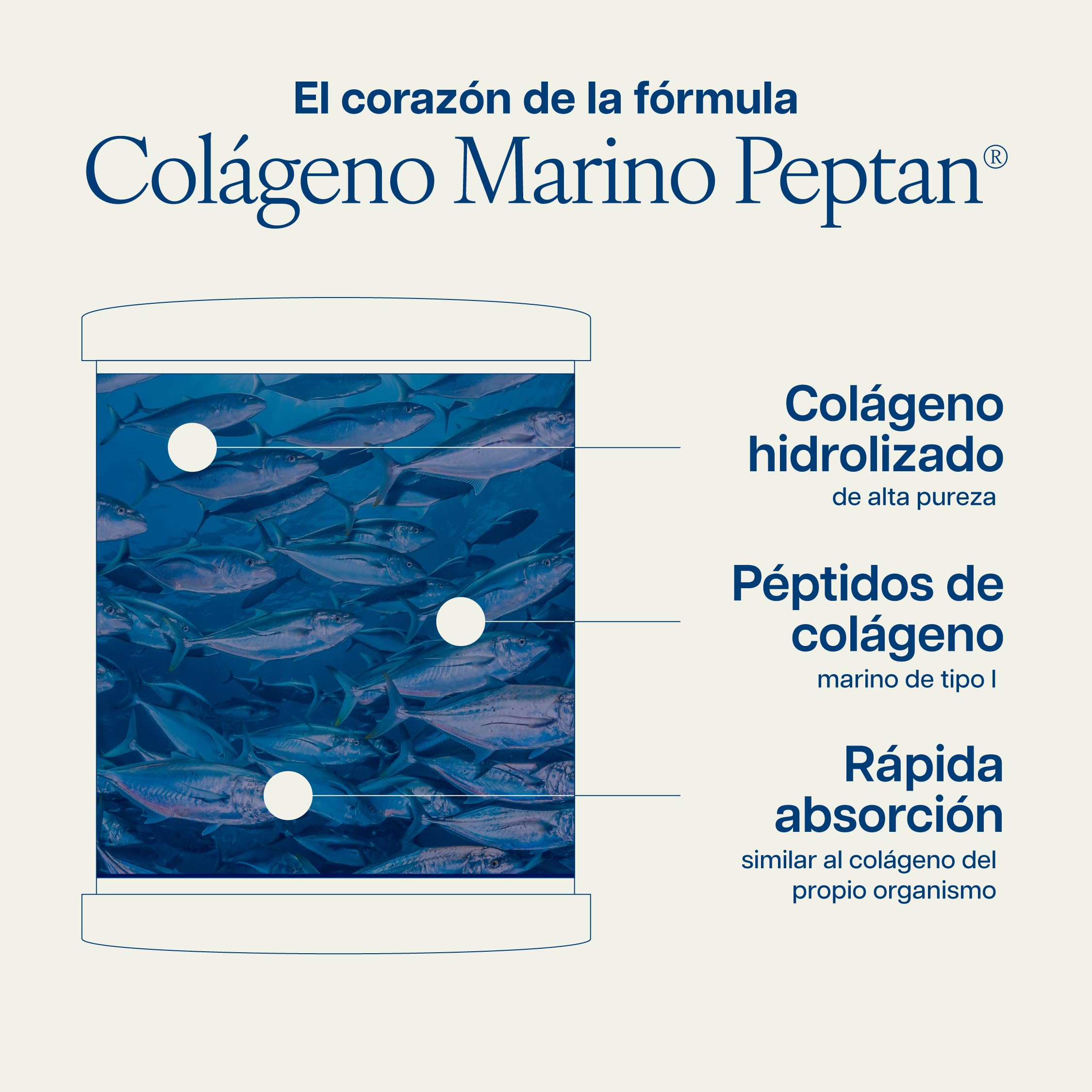 Colageno Hidrolizado Marino Con Acido Hialuronico Y Vitamina C | 5g Péptidos de Colágeno Peptan® por Dosis – Hasta 5x Más que Cápsulas - Con Magnesio | Formato Polvo 275g, 25 Dosis | Flexi TONGIL
