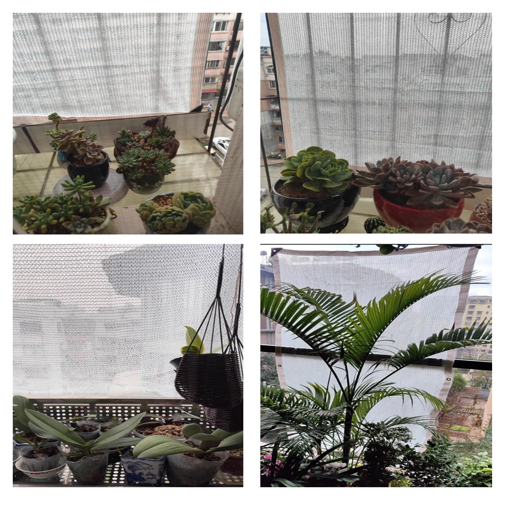 Rete Ombreggiante per Piante 55% Telo Parasole UV per Piante Grasse, Fiori, Orto, Giardino e Balcone Schermatura Termica Giardinaggio Esterno Ombra