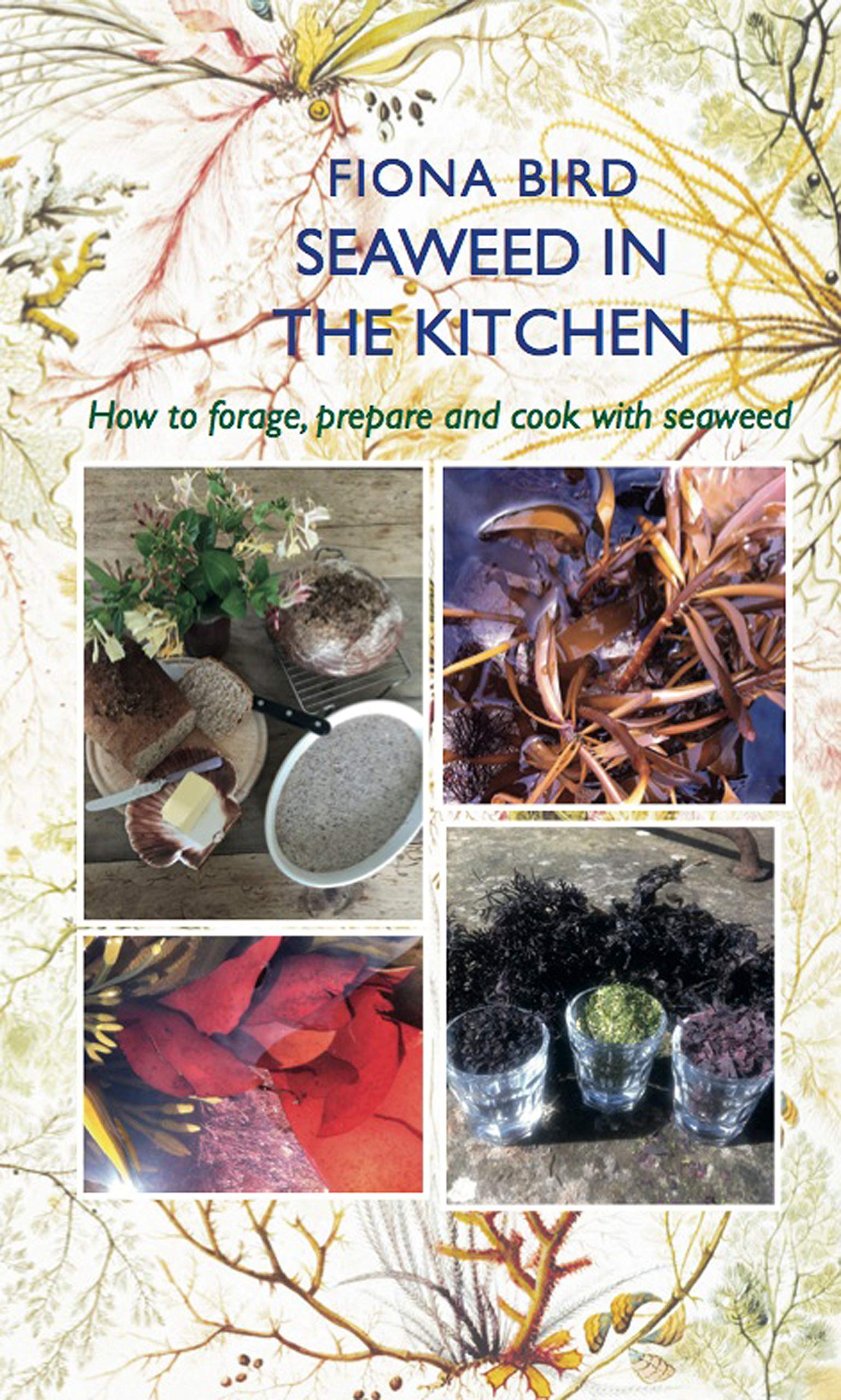 Seaweed in the Kitchen: How to Forage, Prepare and Cook with Seaweed (The English Kitchen)