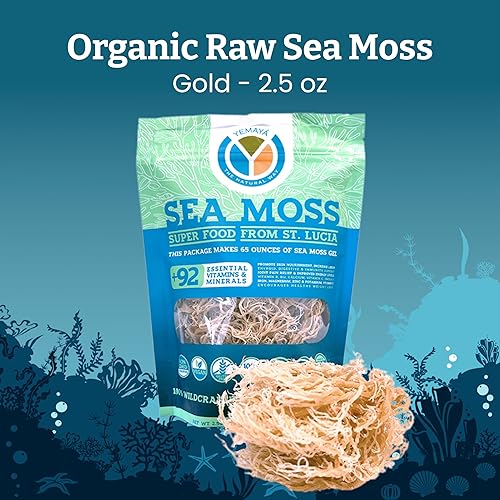 Miniatura 2 de Musgo marino orgánico, 100 % artesanía, crudo, secado al sol, hace 65 onzas de gel de musgo marino, dorado, morado (dorado)