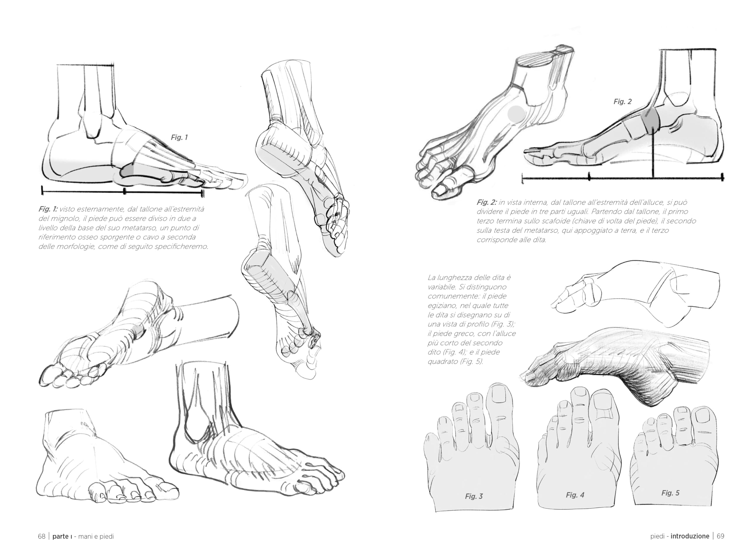 Anatomia artistica. Mani, piedi, testa e collo (Vol. 3)