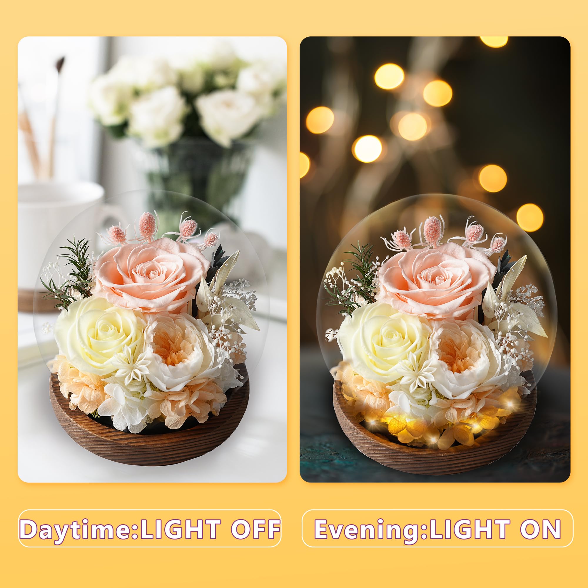 Amazon.com : Monthers Day Gifts Flowers for Delivery,Preserved