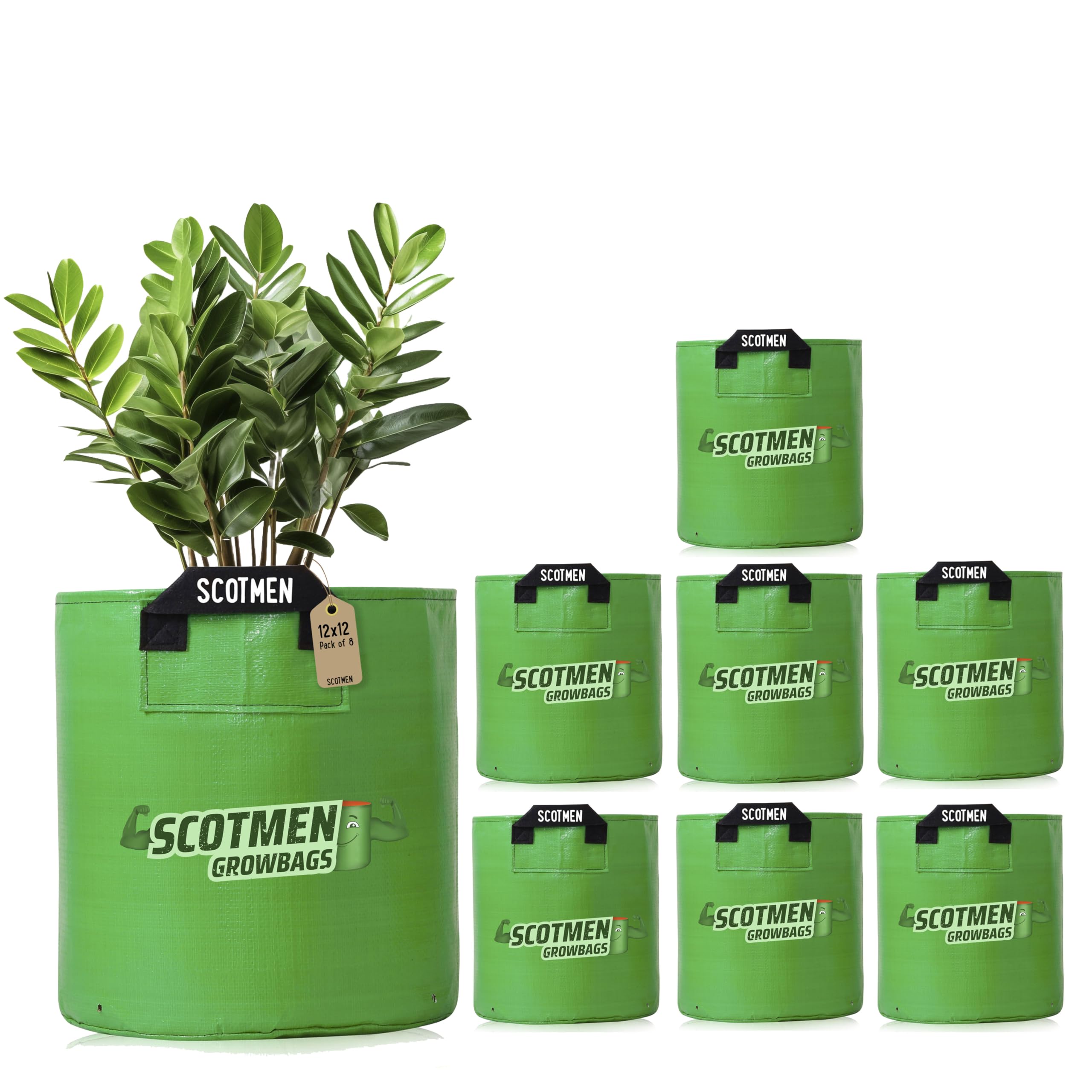 See full amazon price history chart for SCOTMEN HDPE UV Protected Round Black Handle Green Grow Bags 12x12 Inch – Pack of 8 for Terrace Balcony Home Gardening Plant Bag SCOTMEN HDPE UV Protected Round Black Handle Green Grow Bags 12x12 Inch – Pack of 8 for Terrace Balcony Home Gardening Plant Bag (B0CTXD9JNZ) Amazon Price History, Amazon Price Tracker