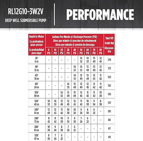 Miniatura 8 de Red Lion RL12G10-3W2V 4-inch Submersible Deep Well Pump with Control Box, 1 HP, 12 GPM, 3-Wire, 230 Volt, Steel, 14942407