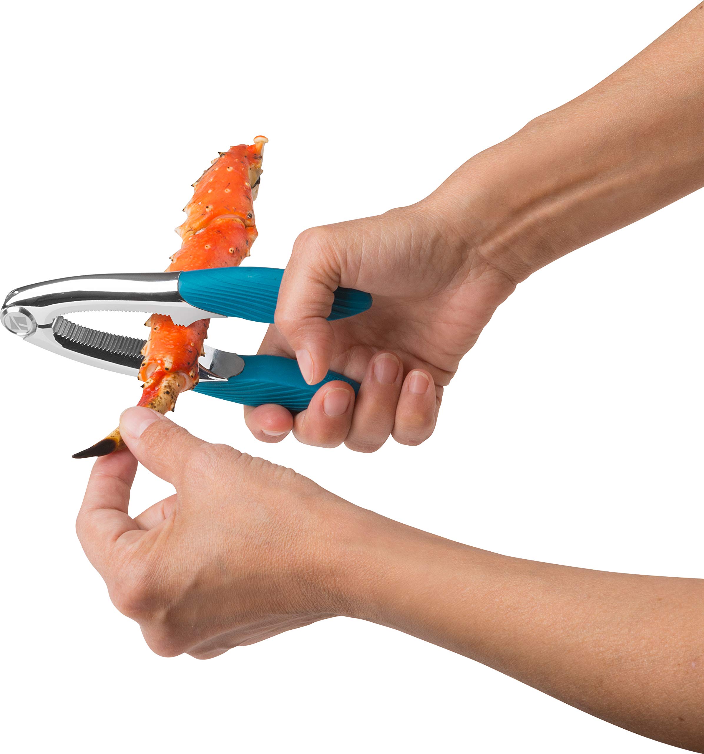 Trudeau 05115072 Casse-Fruits de Mer Inox Tropical