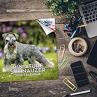 Vista 1492 de Razas de Perros 2017