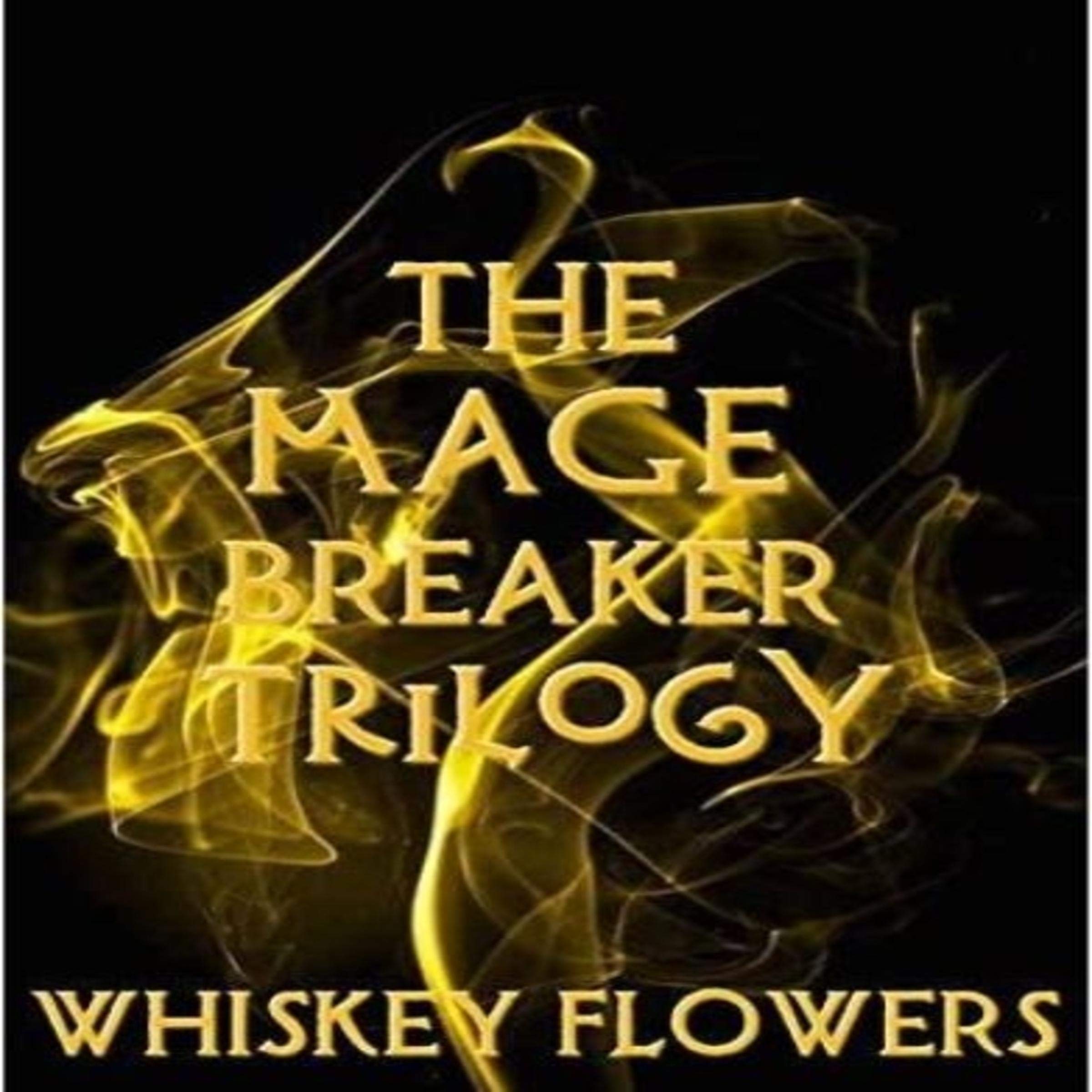 Cover art for The Mage Breaker