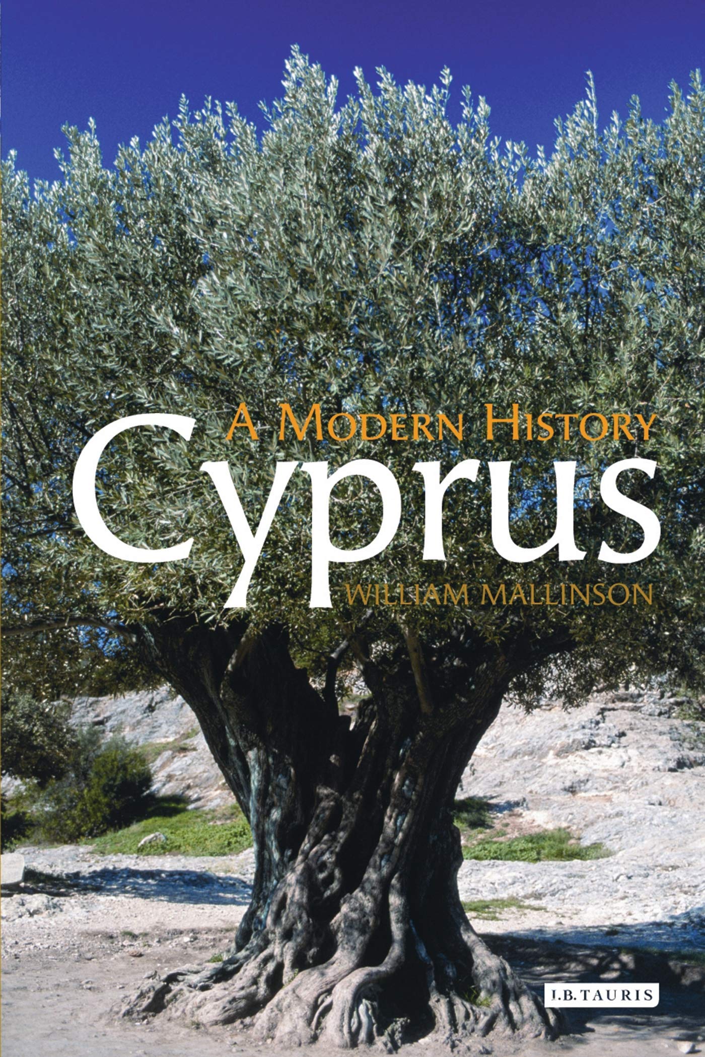 Cyprus: A Modern History.by Mallinson  New 9781845118679 Fast Free Shipping.#+.#