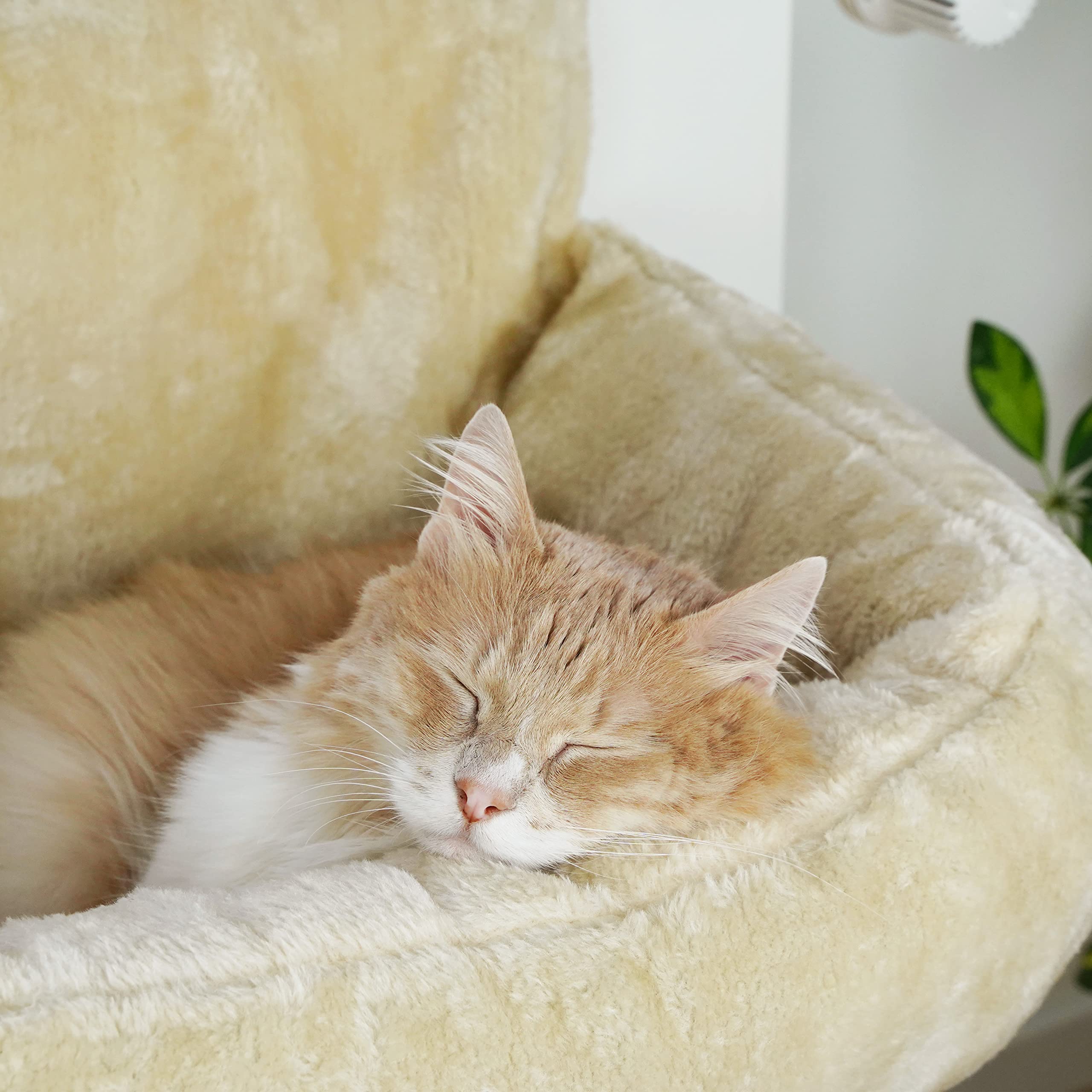 Premium Katzenbett | Lucky | kuschelige Heizungsliege für Katzen