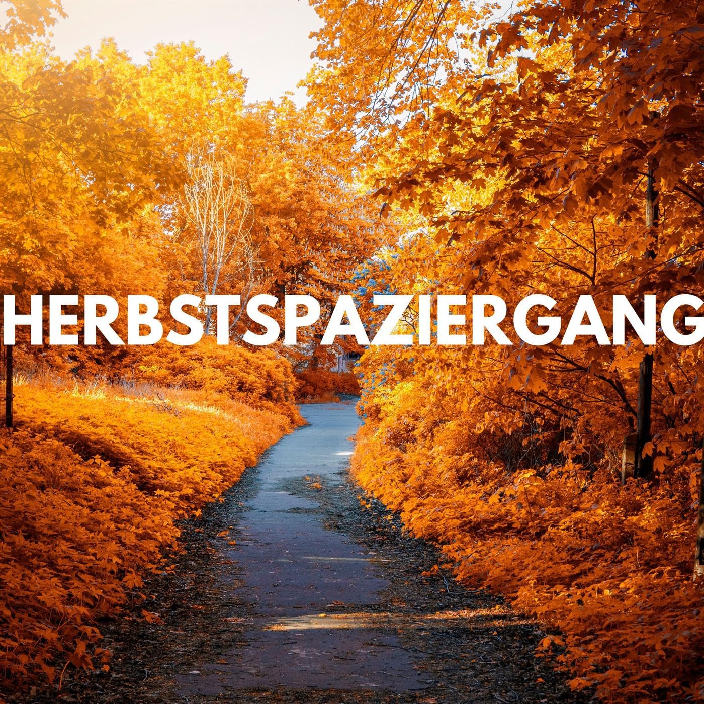 Guy Manuel De Homem Christo