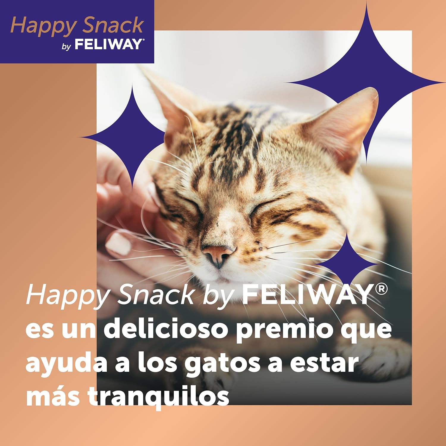 81b0+mTkKyL. AC SL1500