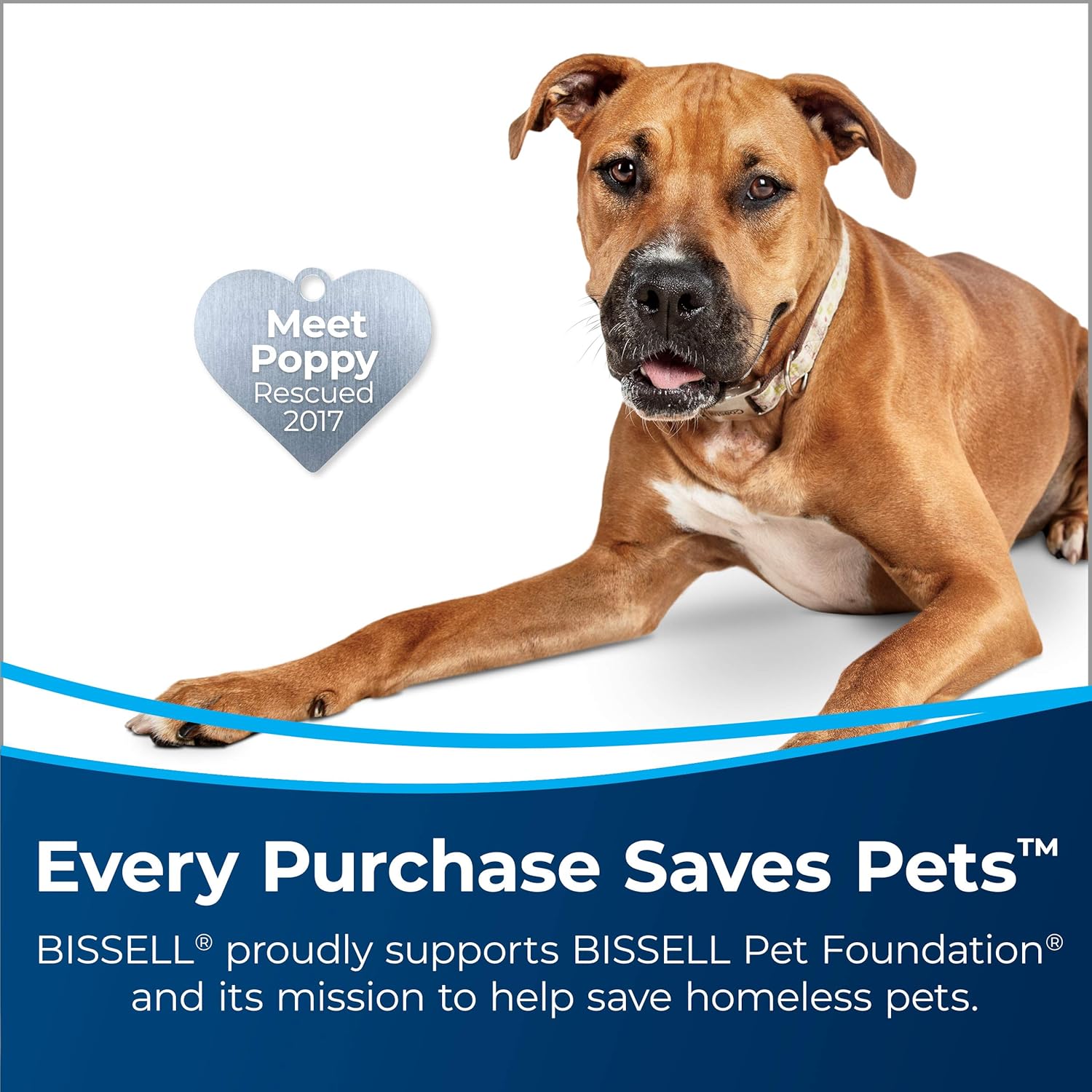 Buy 1 get 1 BISSELL DeepClean Deluxe Pet Carpet Cleaner and Shampooer, 36Z9 Exclusive Discount 50% Price BISSELL DeepClean Deluxe Pet Carpet Cleaner and Shampooer, 36Z9
