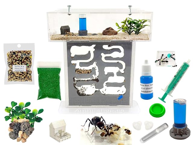 Foto 2 de 7 de Hormiguero Kit T-Pequeño Pro - Galería 3D Gris┃con Hormigas Gratis【Granja de hromigas】- Nuevo Sistema…