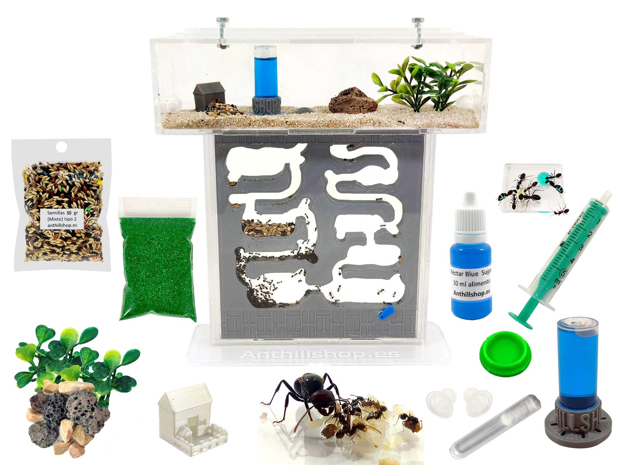 Hormiguero Kit T-Pequeño Pro - Galería 3D Gris┃con Hormigas Gratis【Granja de hromigas】- Nuevo Sistema de Humedad