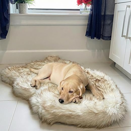 IHAPPYDOG Luxury Faux Fur Orthopedic Dog Bed, Memory Foam Dog Bed​ for​ Small, Medium, Large and XL Pets, Fluffy Pet Rug with Waterproof ​and ​Washable Soft Cover, White (40x25)