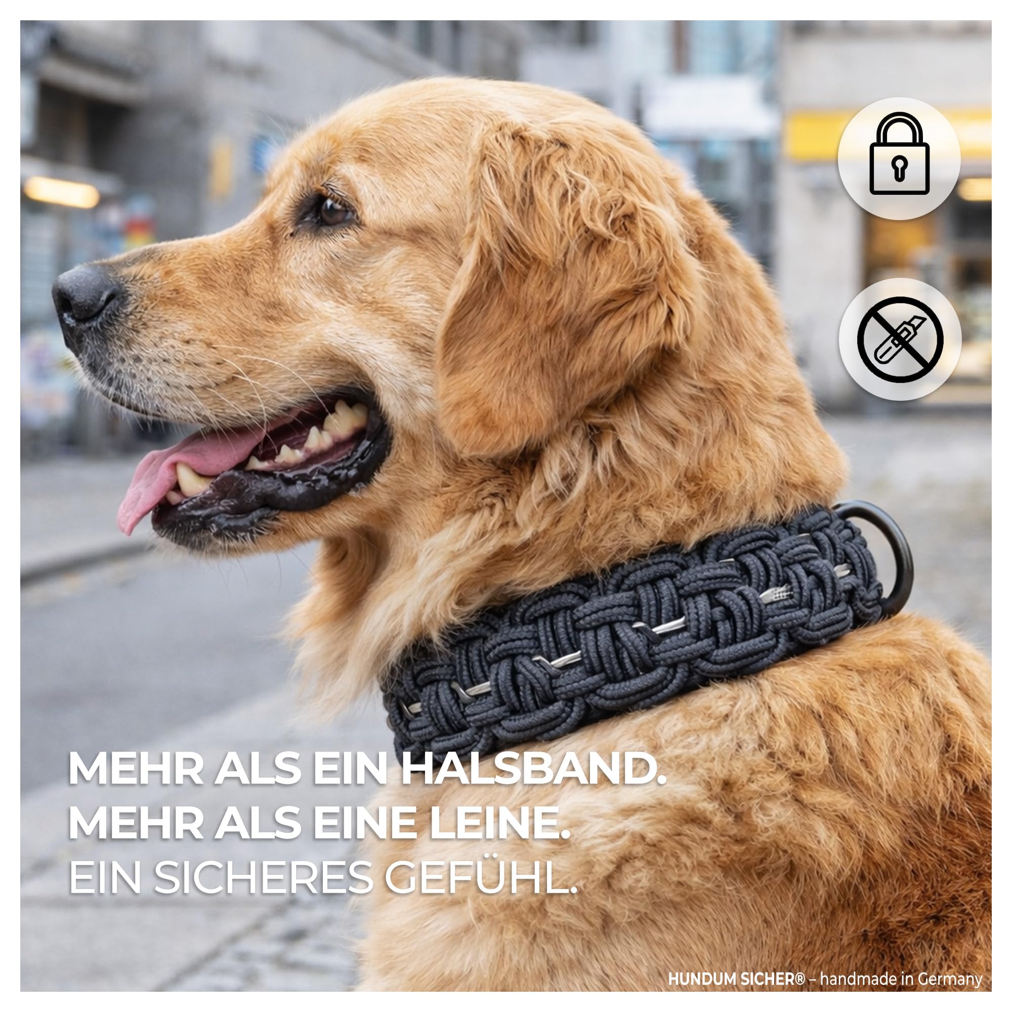 Anti-Diebstahl Hundehalsband & Leine für große Hunde - Abschließbar & schnittfest, handgemachtes Set aus Paracord mit Stahlseil-Kern (Leine M (180cm))