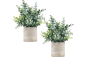 2 Pack Small Artificial Eucalyptus Plants for Shelf Decor