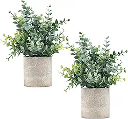 Pacote com 2 pequenas plantas artificiais de eucalipto em vasos de plantas artificiais para prateleira, mesa, banheiro, casa de fazenda, sala de café, decoração (verde sálvia)