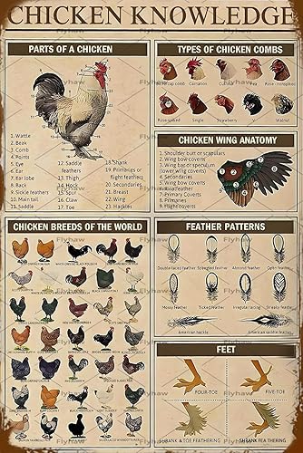 Chicken Knowledge - Letrero de metal para decoración de pollo, letrero de metal para decoración de pared, razas de pollos retro, para gallinero,