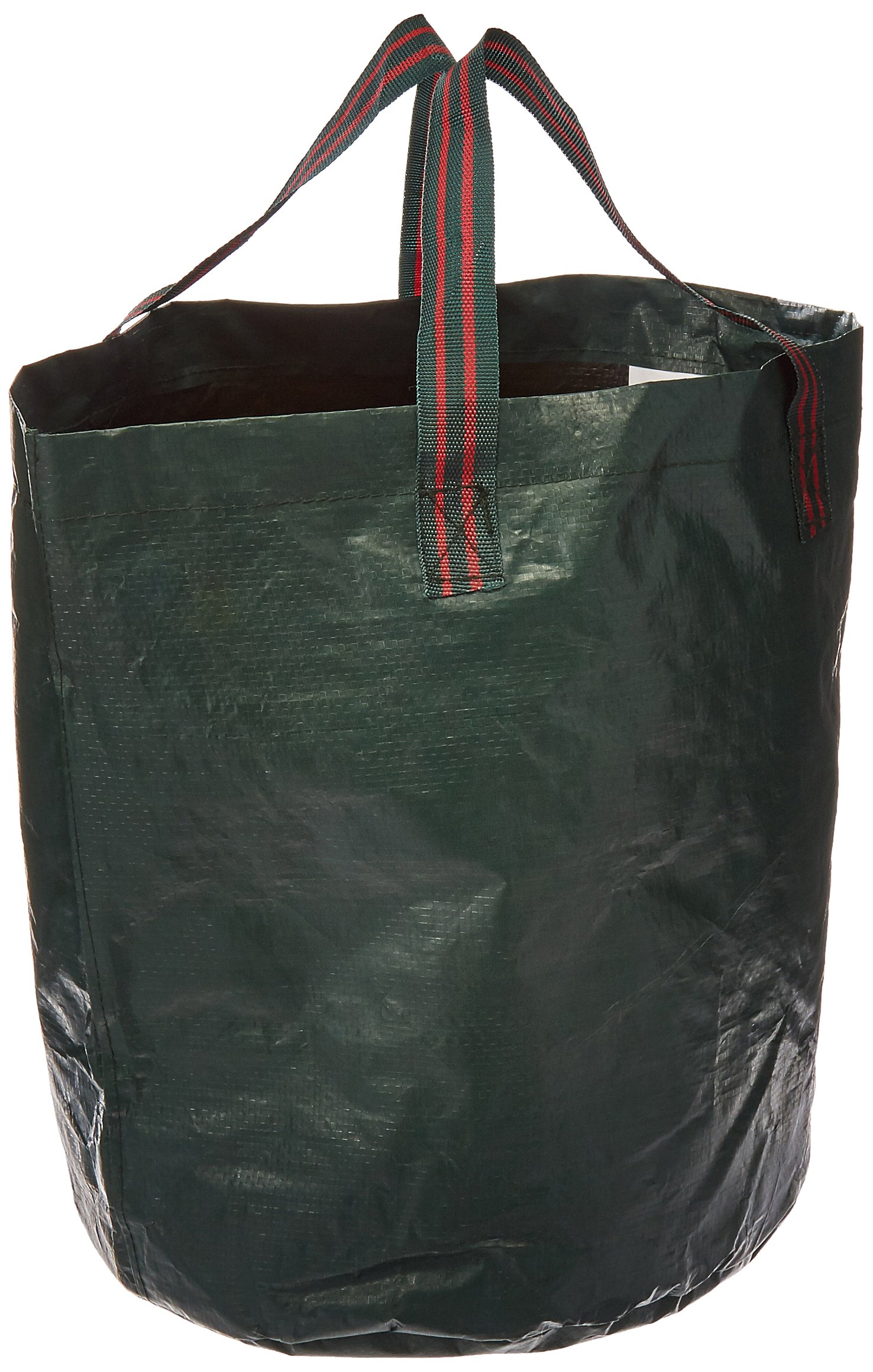 Tomatera Patio Bosmere K715 para cultivar tomates sin espacio en bolsa verde de 3 unidades