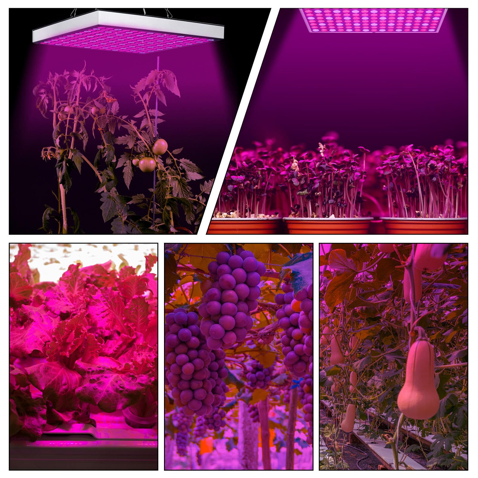 Lampa LED do uprawy roślin 2 x 15 W, pełne spektrum, 225 czerwona i niebieska lampa LED do uprawy roślin pokojowych, warzyw, kwiatów, hydroponiki [klasa energetyczna F]