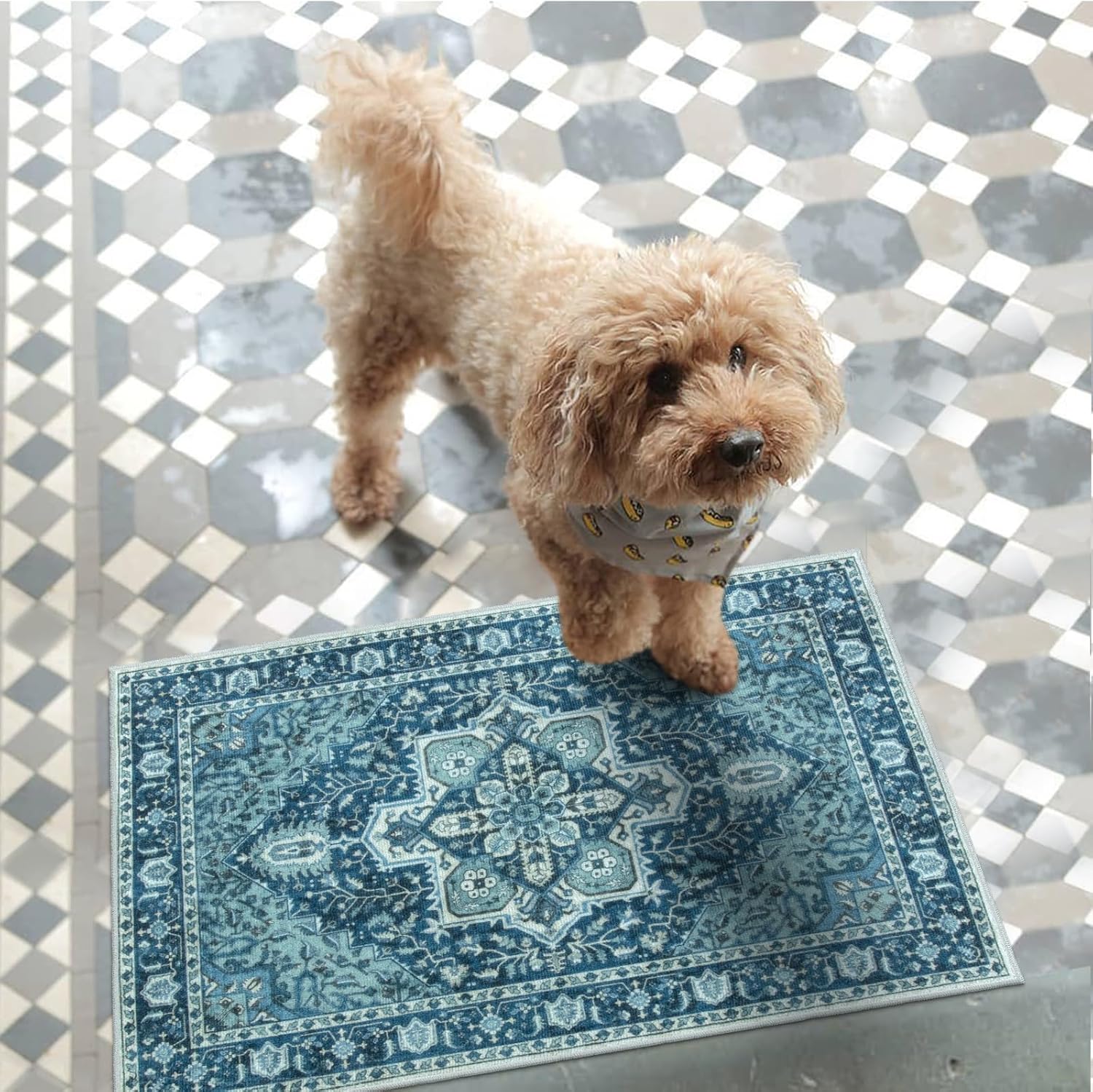 Collive Washable Indoor Door Mat, Non Slip Retro Entryway Rug 24" x 36" Doormat Low-Pile Entrance Rug Distressed Front Door Mat, Welcome Mats Floor Mat Doormats for Kitchen Bathroom Home