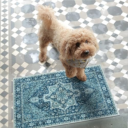 Miniatura 62 de Collive Tapete lavable para interiores, tapete retro antideslizante de 20 x 32 pulgadas, alfombra de entrada de absorción rápida, tapete de entrada