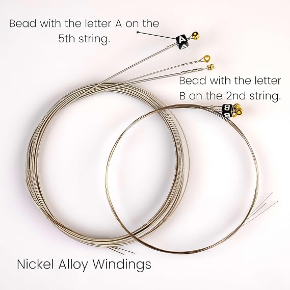 Pitbull Strings Coated Seri Elektro Gitar Teli – Uzun Ömürlü, Parlak Ton, Yüksek Dayanıklılık (10-46 Light)