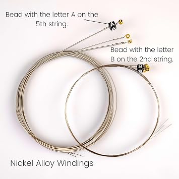 Pitbull Strings Coated Seri Elektro Gitar Teli – Uzun Ömürlü, Parlak Ton, Yüksek Dayanıklılık (10-46 Light)