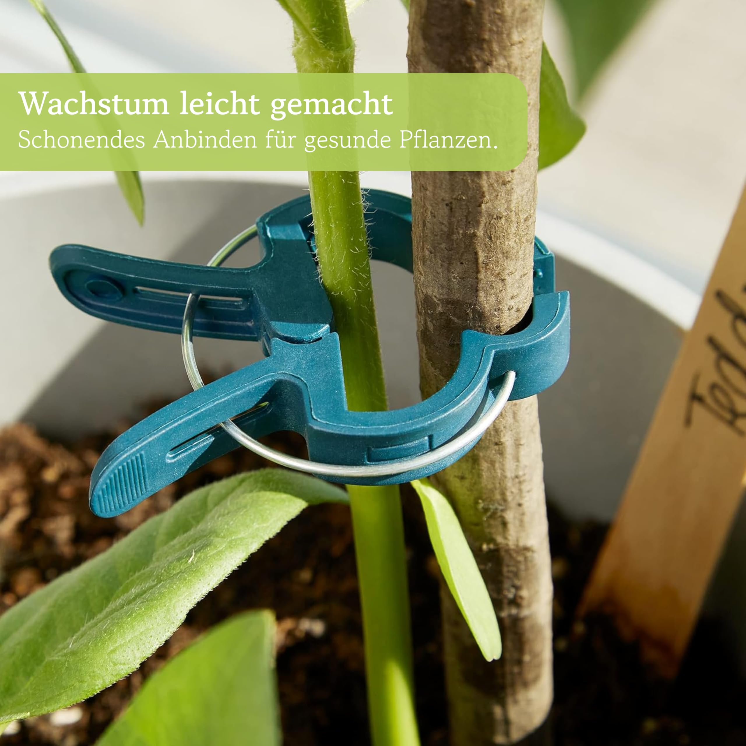 OwnGrown Pflanzen Klammern zum Pflanzen Binden: 20 Klammern fr Pflanzen  Gre L als Rankhilfe fr Pflanzen  fr Kletterpflanzen  Zimmerpflanzen  Grn, Pflanzen Clips Blumen : Amazon.de: Garten